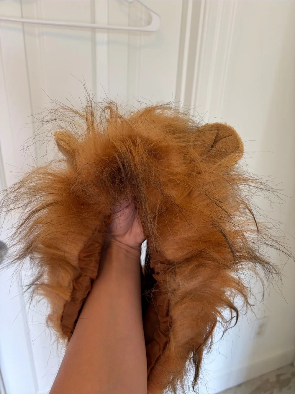 DOG Lion Mane Wig Dog Costume - Brown